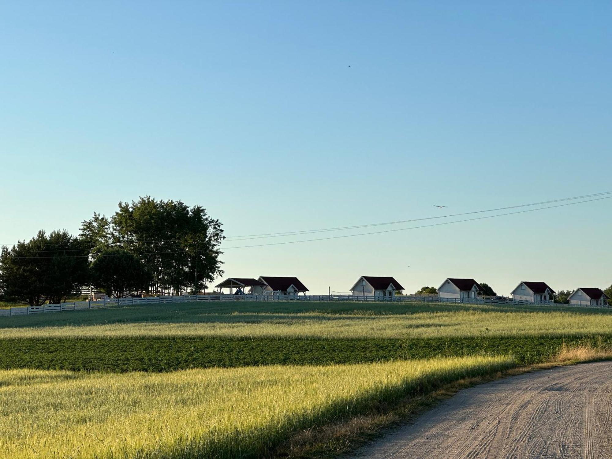 Gizycko-Przerwanki Domki Widok Na Mazury Exterior foto